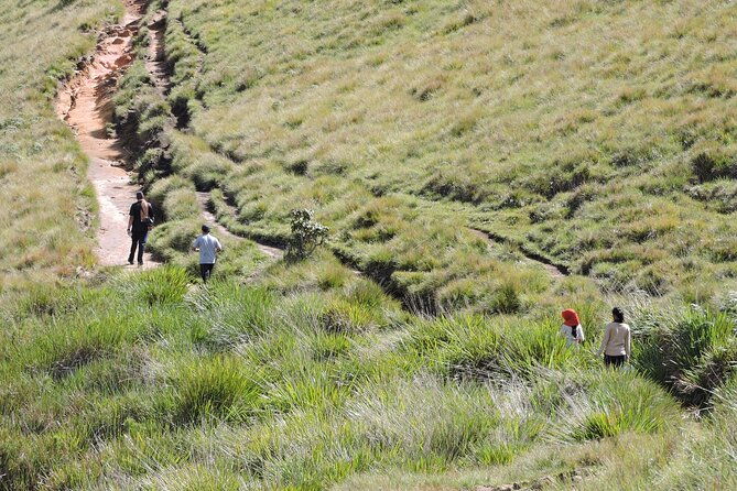 Private Multi-Day Sri Lanka Treks and Hikes Tour - Who Is This Tour Best For?
