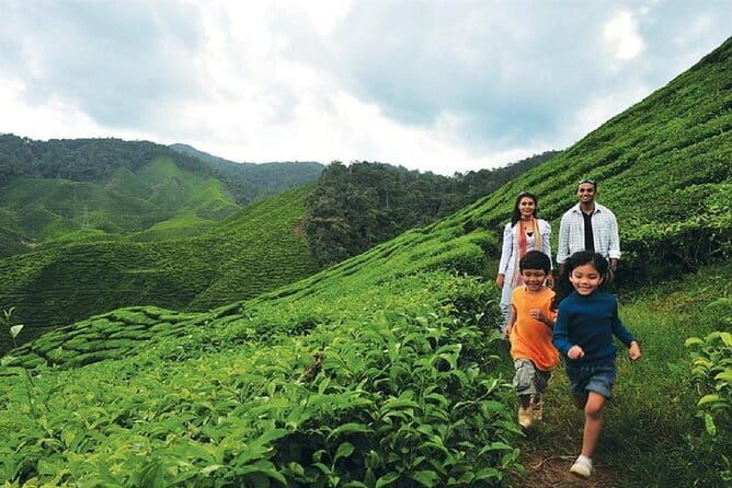 Private Nature Trip to Cameron Highlands from Kuala Lumpur - Authentic Experiences & Local Insights