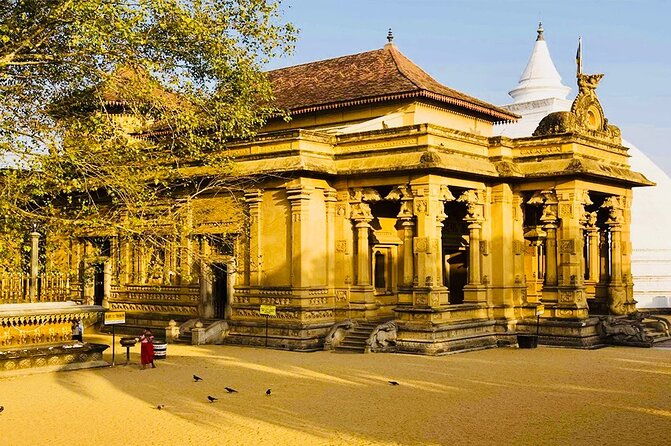 Private Night Tour in Colombo with Street Food Tasting - The Sum Up