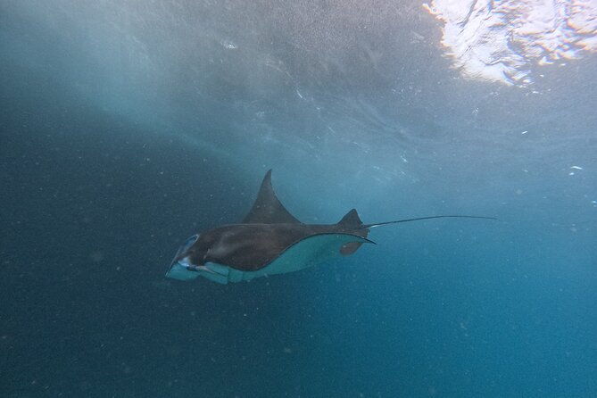 PRIVATE Nusa Penida on Boat Snorkeling & Island Tour (INCLUSIVE) - Considerations: Weather, Timing, and Comfort