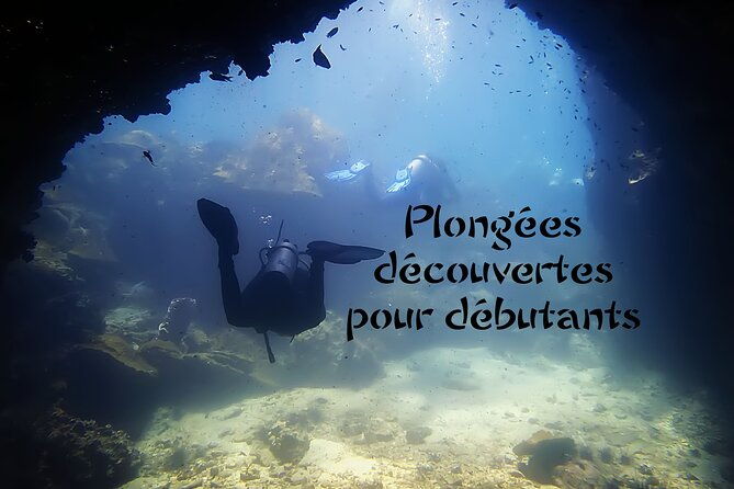 Private Scuba Diving Initiation with Licensed Guide - The Experience in Detail: Why It Matters