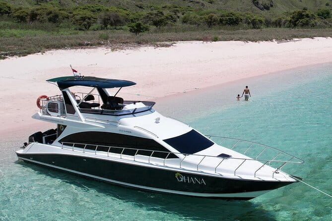 Private Speedboat Day Tour : Explore Komodo's Best - Practical Considerations