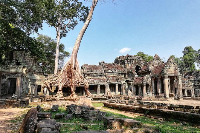 Private Sunrise Angkor Tour - Authentic Insights from Reviewers