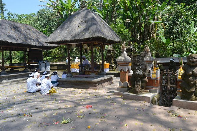 Private Tour: Bali Temple and Countryside Tour - Final Thoughts: Who Is This Tour Best For?