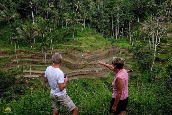 Private Tour: Balinese Culture and Scenery (visit ubud area) - Who Will Love This Tour?