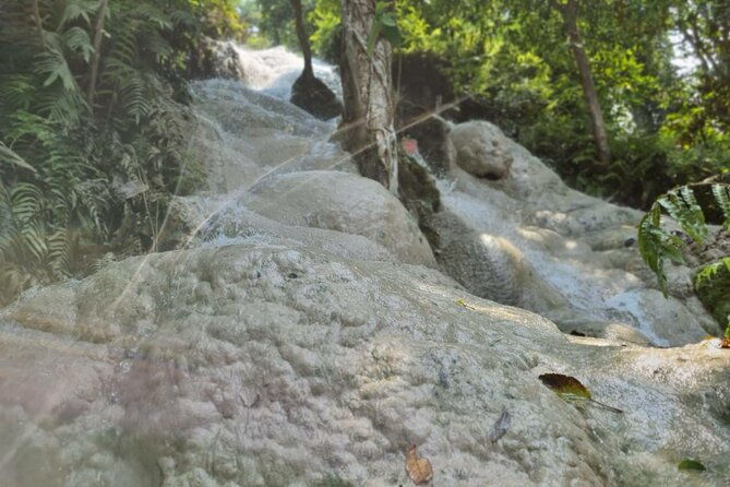 Private Tour: Bua Thong Sticky Waterfalls Tour - Why this tour is worth considering