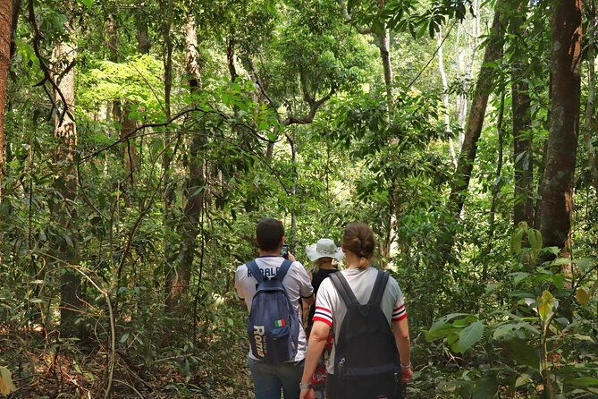 Private Tour Doi Inthanon And Trekking Nature Trail, Chiang Mai - Who This Tour Is Best For