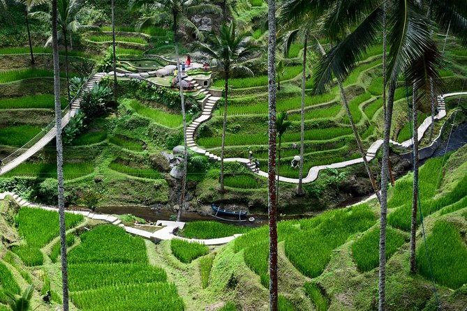 Private Tour : East Bali Highlights with Giant Swing - Final Thoughts on the Tour’s Value
