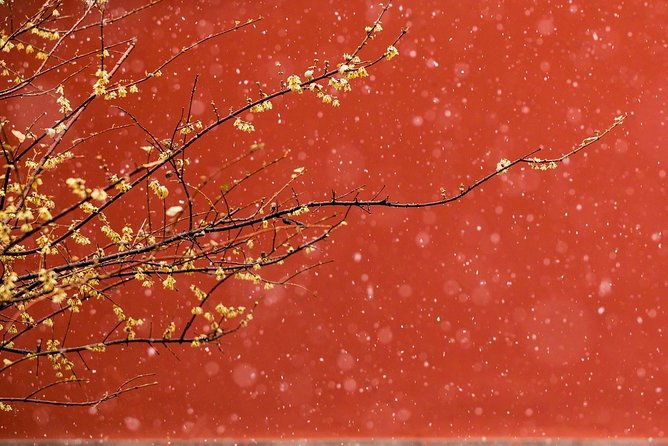 Private Tour: Forbidden City and Mutianyu Great Wall with Cable Car or Toboggan - FAQ