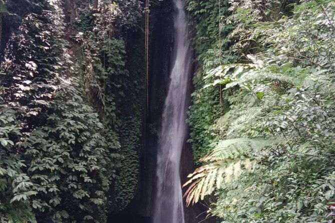 Private Tour from Leke-Leke Waterfall to Jatiluwih Rice Terrace - Authentic Insights from Travelers