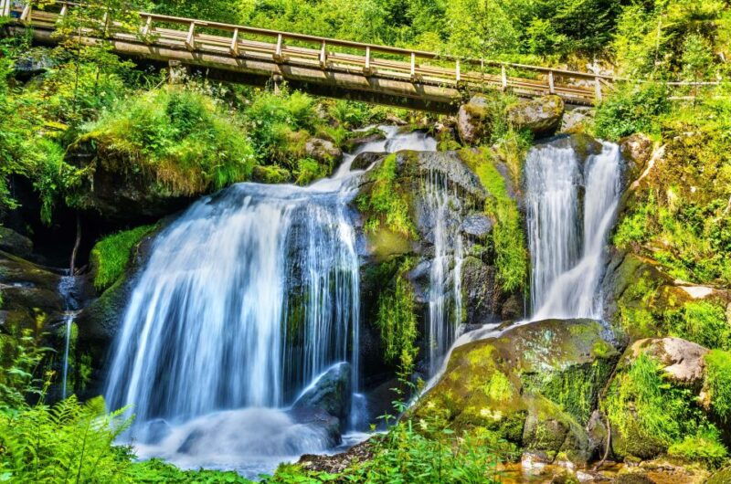 Private Tour from Zurich to Rhine Falls and Black Forest - Final Thoughts