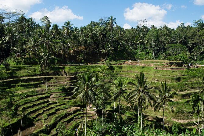 Private Tour: Incredible 6 Days Bali Tour Package with Airport Transfer - The Sum Up: Who Is This Tour Best For?