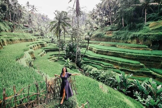 Private Tour: Jatiluwih Rice Terrace,Ulun danu and Banyu Mala Waterfall Tour - What Reviewers Say