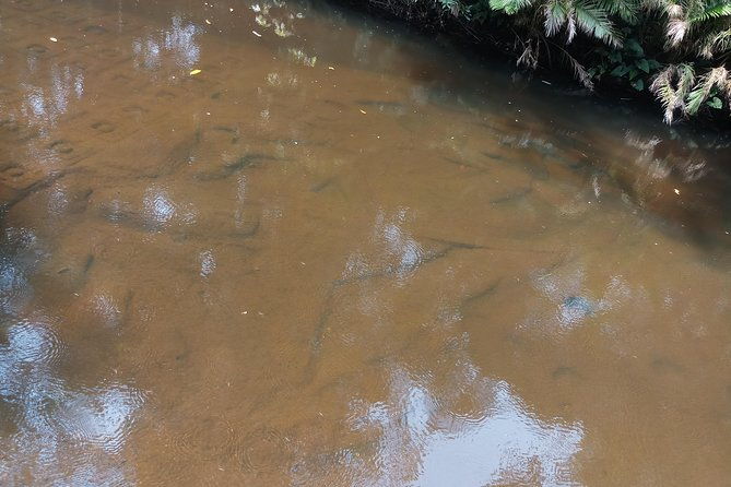 Private Tour: Kulen Mountain Day Trip Including Hidden Temple from Siem Reap - Frequently Asked Questions