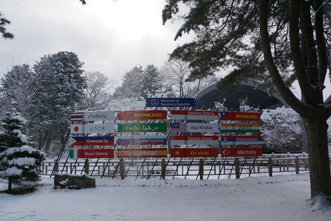Private Tour: Nami Island& (Alpaca World 'or' Morning Calm)&Lunch - The Sum Up