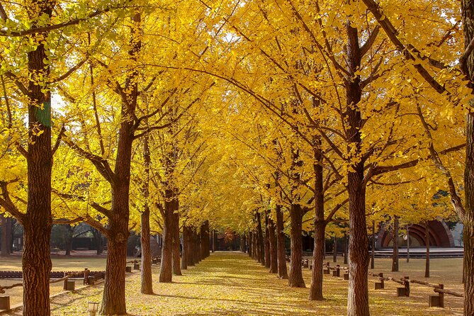 (Private tour) Nami Island + Railbike + Garden of morning calm - FAQ