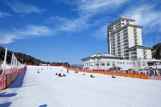 [Private Tour] Nami Island & Snow Viewing and Snow sled (More Members Less Cost) - Authentic Experiences and Reviewer Insights