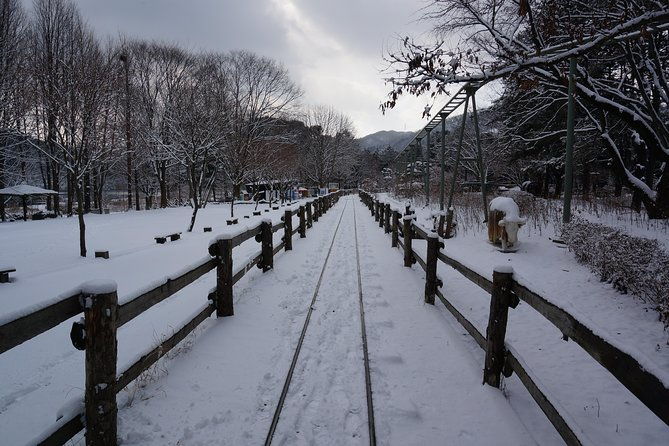 Private Tour Rail Bike & Nami Island & (Petite France or Garden of Morning Calm) - Who Should Consider This Tour?