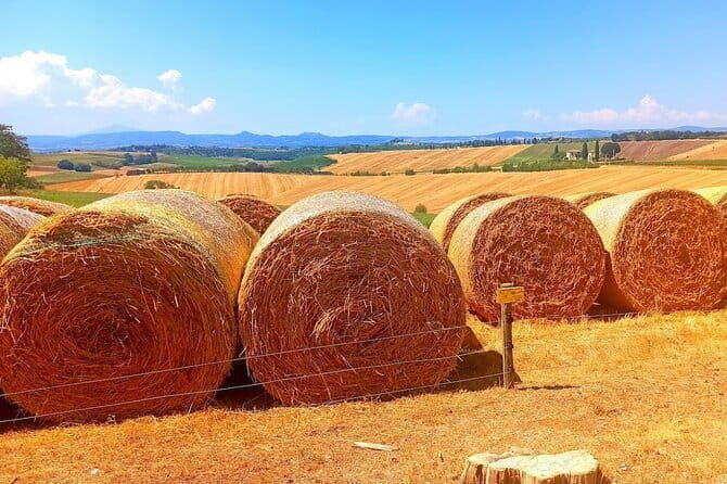 PRIVATE TOUR "Sweet Hills of Chianti and San Gimignano" with Lunch & 2 Tastings - Who Should Consider This Tour?