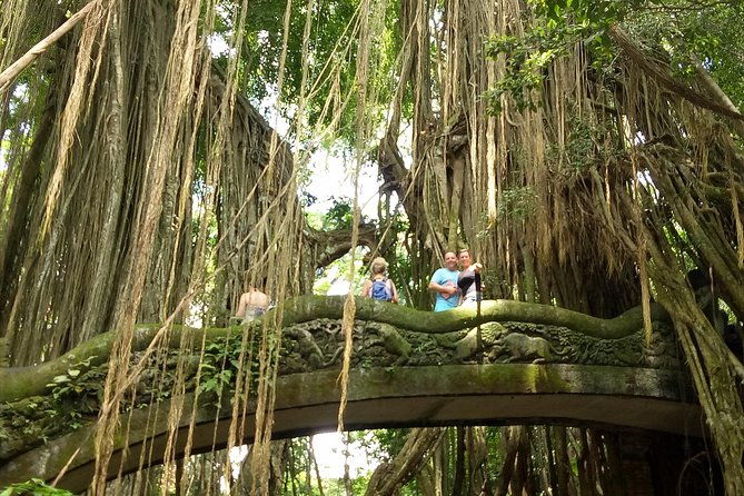Private Tour to Sumampan Waterfall, Monkey forest, Rice terraces and Swing - What Travelers Say