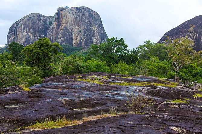 Private Tour : YALA National Park with Experienced Driver/Guide - Final Verdict