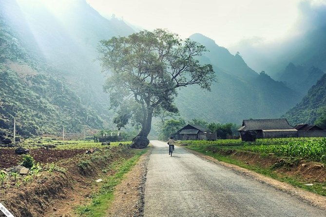 Private Transfer Between Lao Cai Train Station and Sapa Town - Final Thoughts