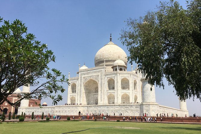 Private Transfer From New Delhi Airport /Hotel to Agra - Vehicle and Comfort