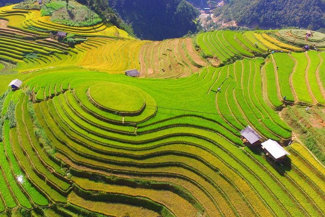 Private transfers Between Hanoi and Mu Cang Chai - What to Expect from the Transfer Service