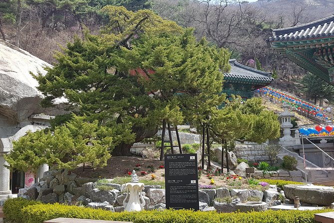 Private Trip to Seongmo Island(Temple) and North Korea Observatory+Kimchi Lesson - The Sum Up