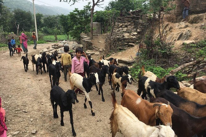 Private Udaipur Village Tour by Tuk-Tuk or by Car - The Value of This Tour