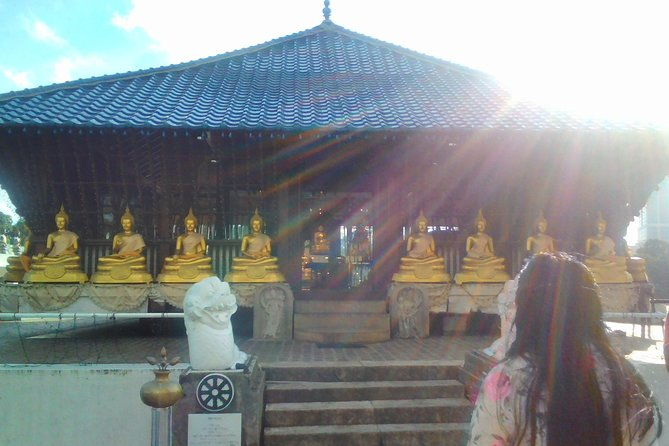 Privet Full-day Sightseeing Tour of Colombo - What We Love About This Tour