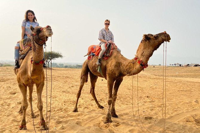 Pushkar Full Day Tour from Jaipur with All Inclusive - Value and Practical Considerations