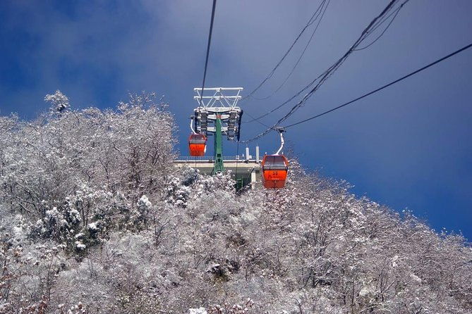 Qingdao Private Day Trip to Mutianyu Great Wall with Cable Car or Toboggan Ride - Final Thoughts