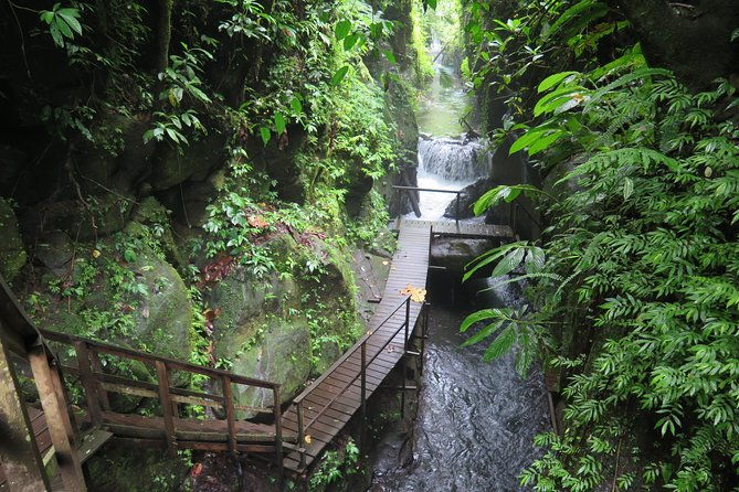 Quad or Buggy Tour with Canyon Tubing Adventure in Bali - Who Will Love This Tour?