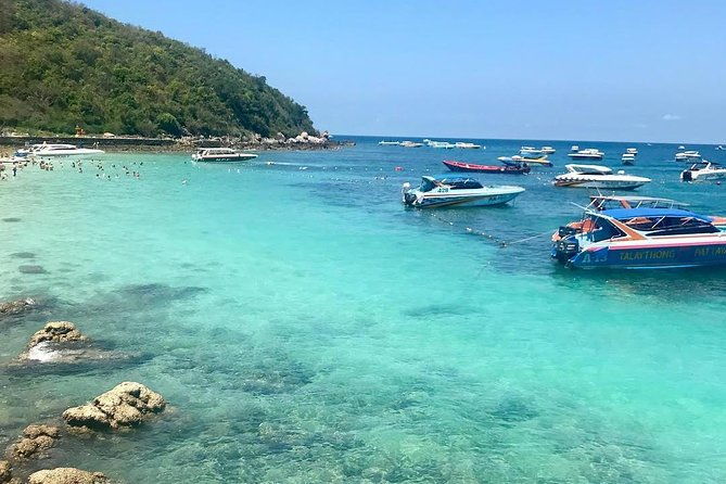 Racha & Coral Island Day Trip by Speedboat - Lunch Included - Who Will Love This Tour?
