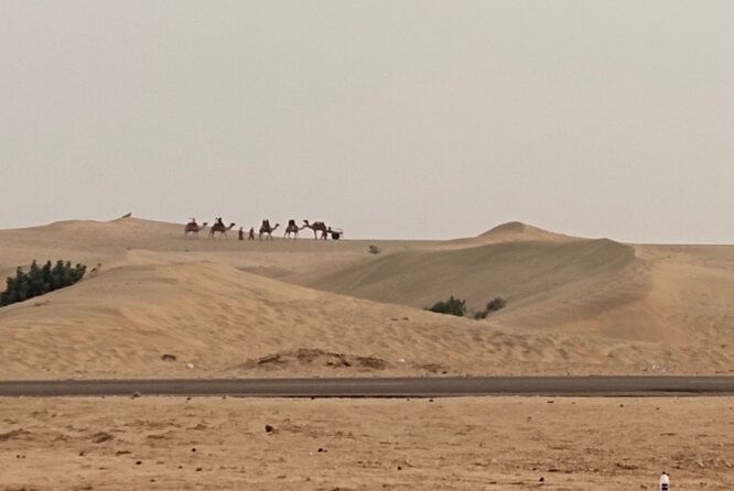Rajsthan holiday 7 days - The Sum Up