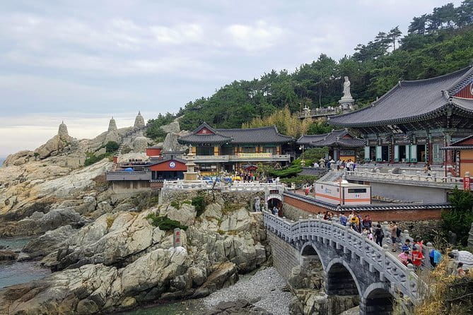 Real Busan Walking Explore - Final Thoughts: Is This Tour Right for You?