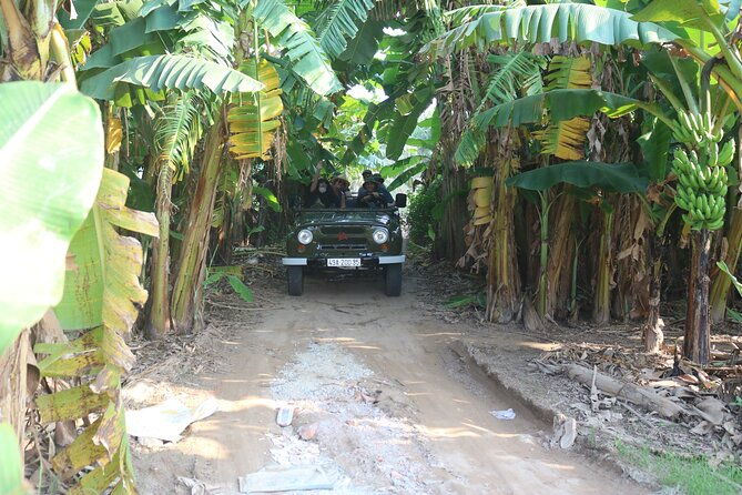 Red River Delta Countryside+ Rural Villages, rice Paddies fields - Final Thoughts: Who Should Book This Tour?