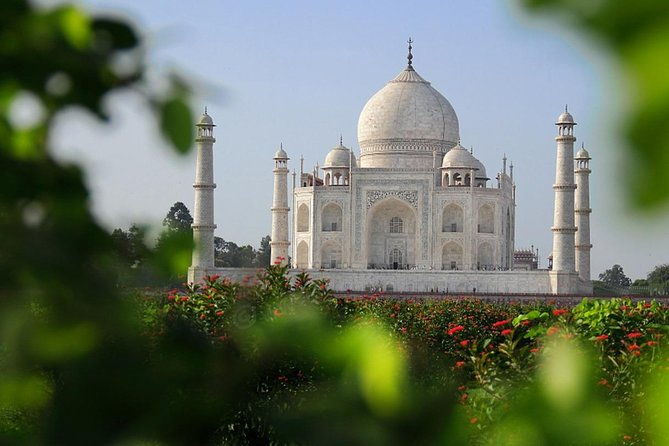 Same Day Taj Mahal, Agra Fort & Baby Taj Tour From Delhi by Car - What Travelers Say