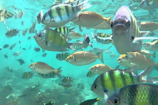 Samui Boat Charter, Private Speedboat Charter, Angthong National Marine Park - Who Is This Tour Best For?