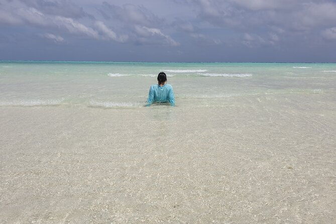 Sandbank Snorkeling and Sunset Cruise - What Makes This Tour Stand Out? 
