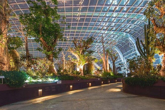 SandsSkyPark+GardensbytheBay(FlowerDome&Jurassic World)Transfers - The Less-Than-Perfect Aspects