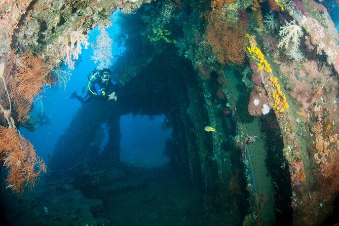 Sanur Open Water Course learn diving in 3 Days - Get certified & Dive everywhere - Authentic Insights from Past Participants
