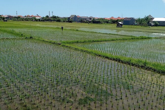 Sanur Village E-bike Tour: Family-Friendly Adventure - Authentic Experiences & Handy Tips