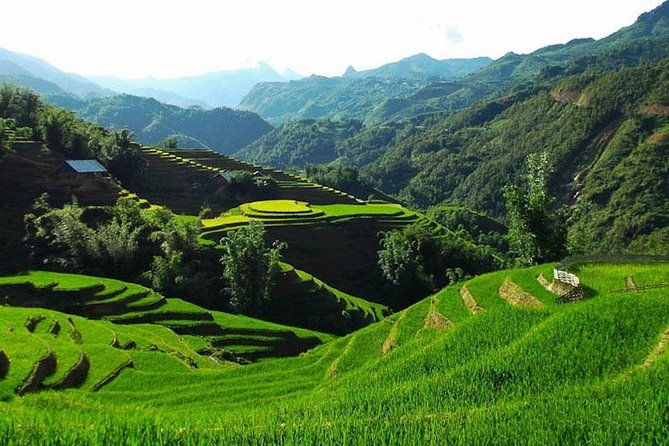 Sapa 3 Days 2 Nights Trekking Tour From Hanoi (2 Nights in Hotel) - Authentic Cultural Encounters