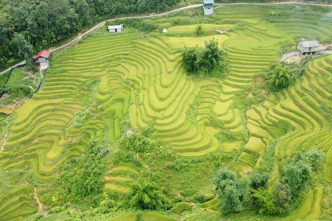 Sapa Journey 3D2N: 3 Star Hotel Stay & Village Homestay - Practical Tips for Travelers