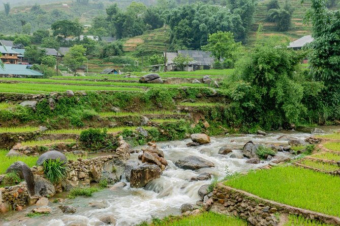 Sapa, Muong Hoa Valley - 1 Day Hiking & Cultural Experience - Why the Price is a Good Investment
