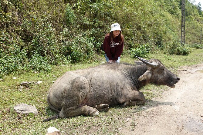 Sapa Valley Trek and Homestay - 3D2N - Who Is This Tour Best For?
