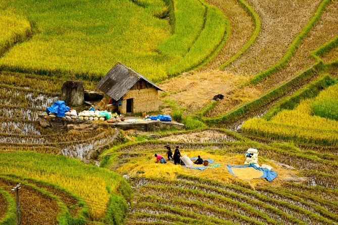 Sapa Villages trekking and homestay 2 Days/ 1 night package tour: best selling - The Real Deal: What You Should Know