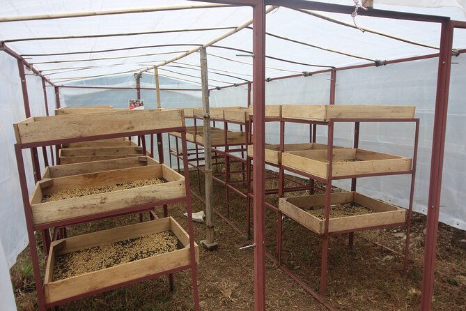 Sarangkot Village Coffee Culture and Authentic Local Life Tour - What This Tour Means for Travelers